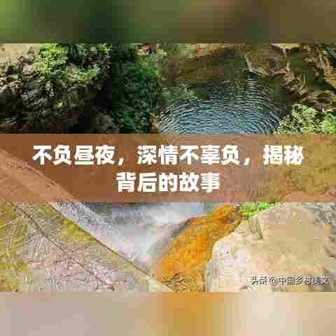 不负昼夜，深情不辜负，揭秘背后的故事