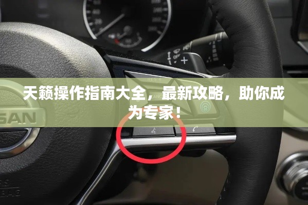 天籁操作指南大全，最新攻略，助你成为专家！