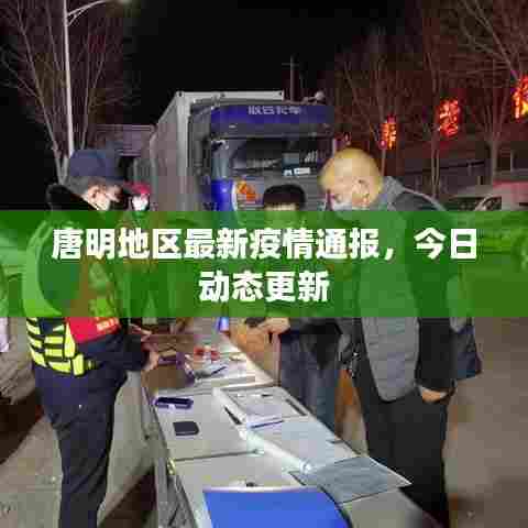 唐明地区最新疫情通报，今日动态更新