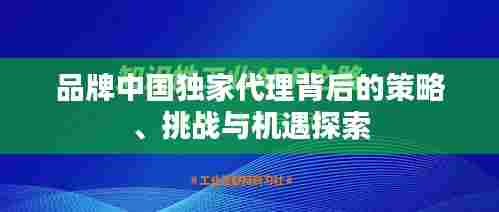 品牌中国独家代理背后的策略、挑战与机遇探索