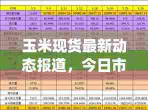 鸟面鹄形 第6页