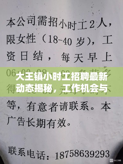 大王镇小时工招聘最新动态揭秘，工作机会与趋势分析