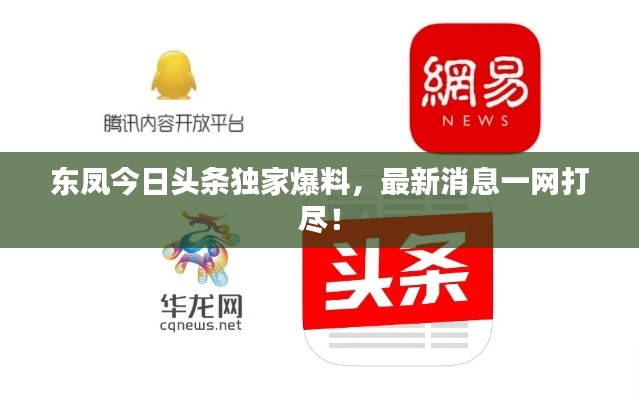 东凤今日头条独家爆料，最新消息一网打尽！