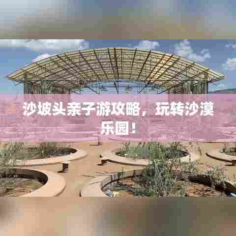 沙坡头亲子游攻略，玩转沙漠乐园！