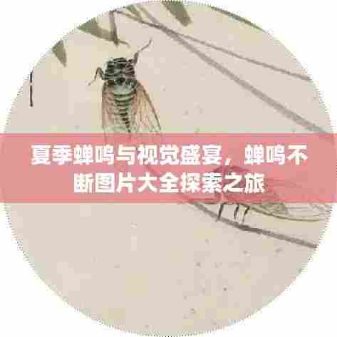 夏季蝉鸣与视觉盛宴，蝉鸣不断图片大全探索之旅
