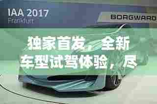 飞龙在天 第6页