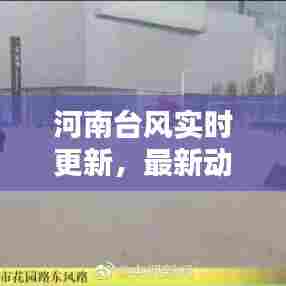河南台风实时更新，最新动态与影响分析