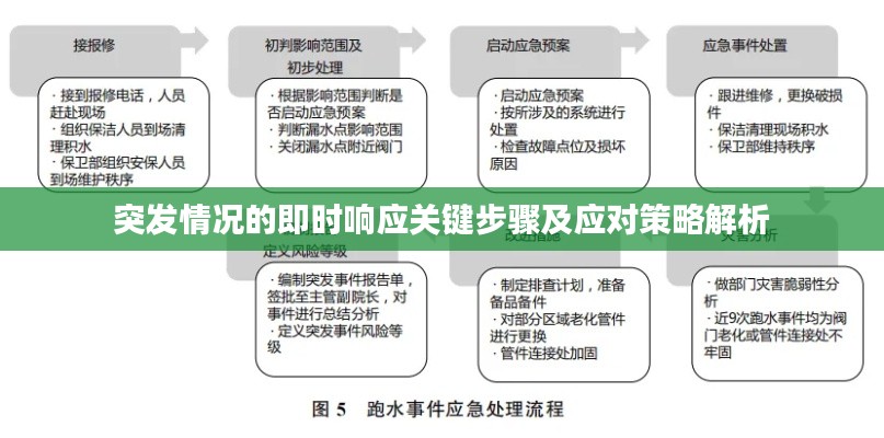 突发情况的即时响应关键步骤及应对策略解析
