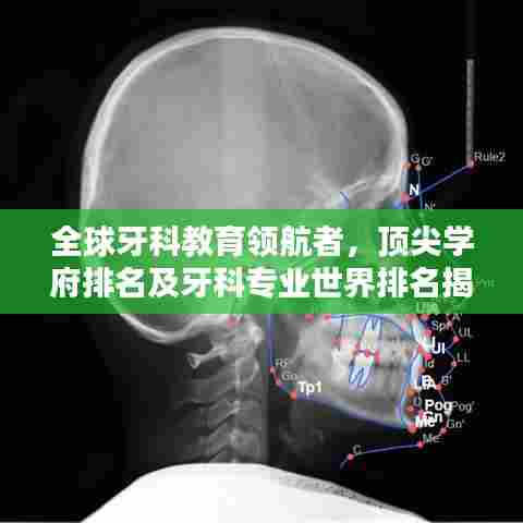 全球牙科教育领航者，顶尖学府排名及牙科专业世界排名揭秘