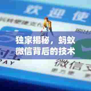 独家揭秘，蚂蚁微信背后的技术商业逻辑与独家代码解析