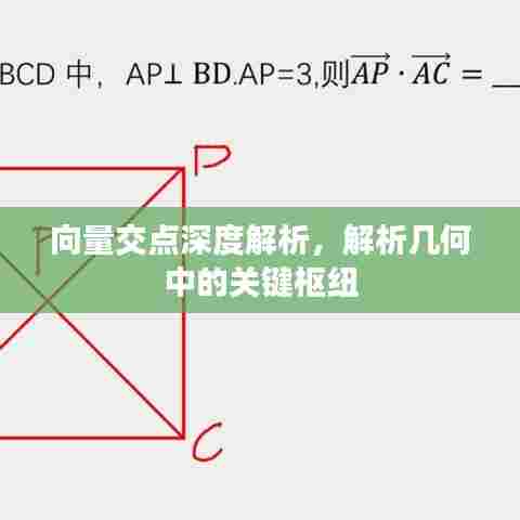 老死不相往来 第6页