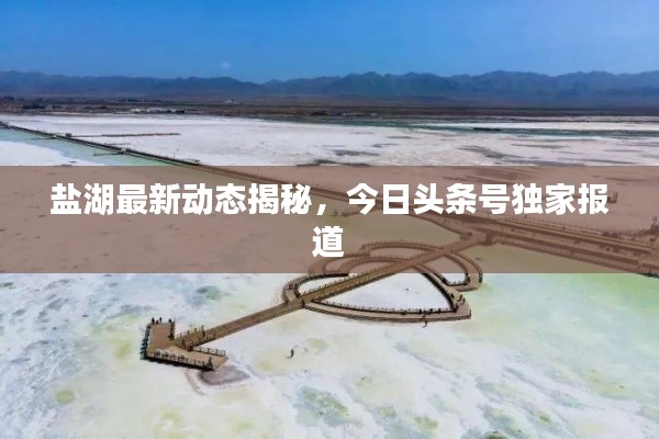 盐湖最新动态揭秘，今日头条号独家报道