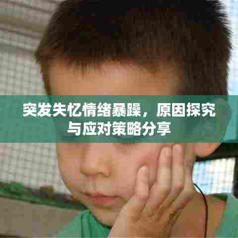 突发失忆情绪暴躁，原因探究与应对策略分享