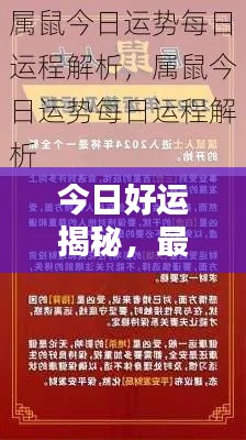 今日好运揭秘，最新幸运之道查询