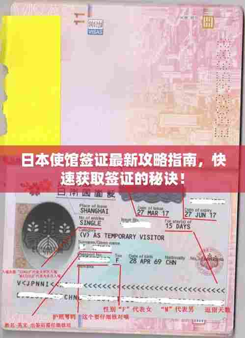 日本使馆签证最新攻略指南，快速获取签证的秘诀！