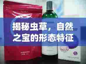 揭秘虫草，自然之宝的形态特征探索