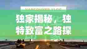 独家揭秘，独特致富之路探索