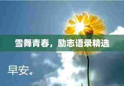 雪舞青春，励志语录精选