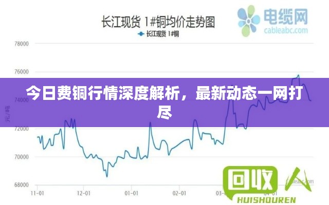 今日费铜行情深度解析，最新动态一网打尽