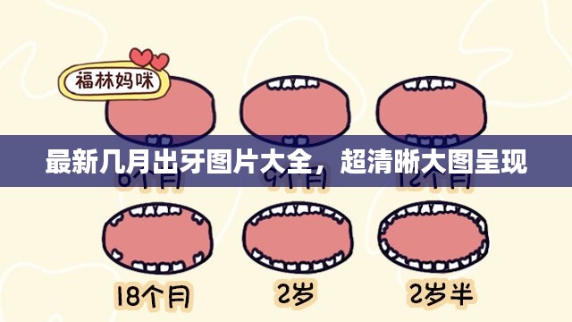 最新几月出牙图片大全，超清晰大图呈现
