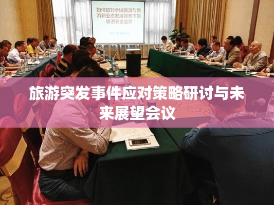 旅游突发事件应对策略研讨与未来展望会议