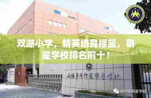 双湖小学，精英培育摇篮，明星学校排名前十！