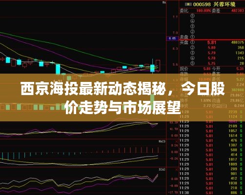 西京海投最新动态揭秘，今日股价走势与市场展望