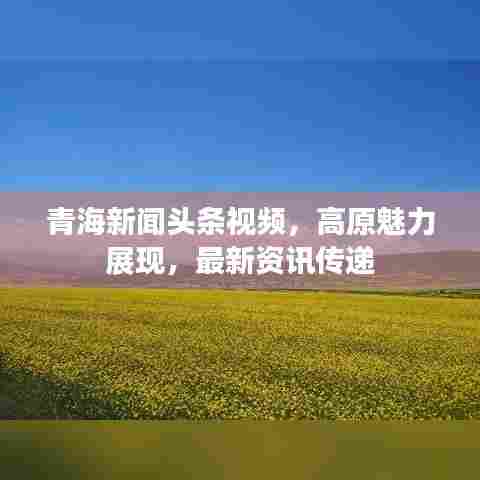 青海新闻头条视频，高原魅力展现，最新资讯传递