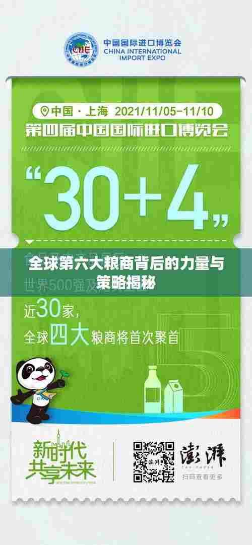 全球第六大粮商背后的力量与策略揭秘