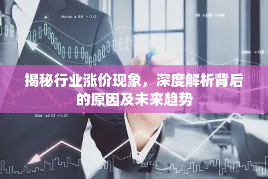揭秘行业涨价现象，深度解析背后的原因及未来趋势