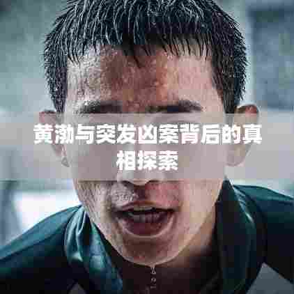 黄渤与突发凶案背后的真相探索