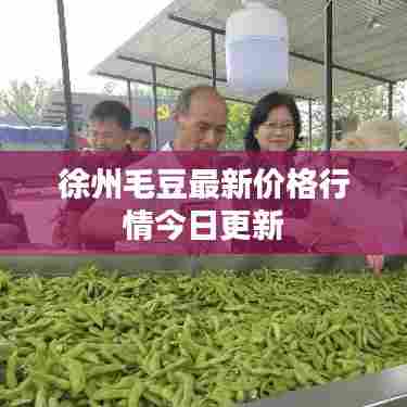 功名富贵 第5页