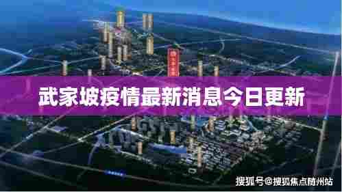 武家坡疫情最新消息今日更新