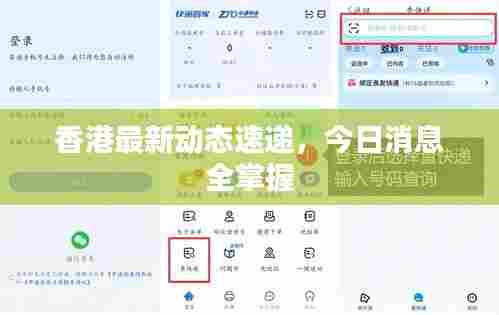 香港最新动态速递，今日消息全掌握