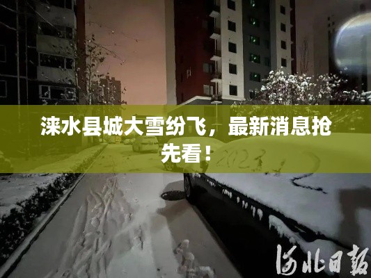 涞水县城大雪纷飞，最新消息抢先看！