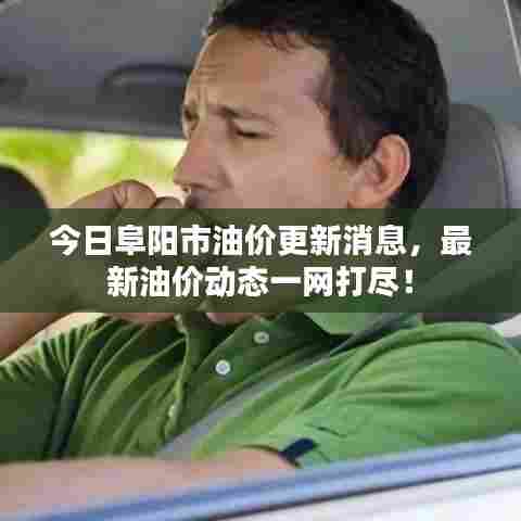 今日阜阳市油价更新消息，最新油价动态一网打尽！