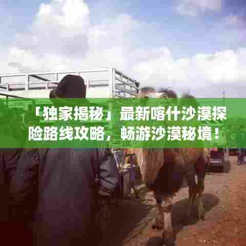 「独家揭秘」最新喀什沙漠探险路线攻略，畅游沙漠秘境！