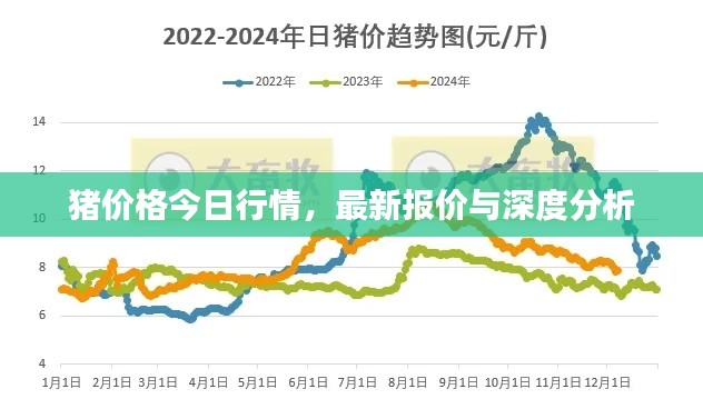猪价格今日行情，最新报价与深度分析