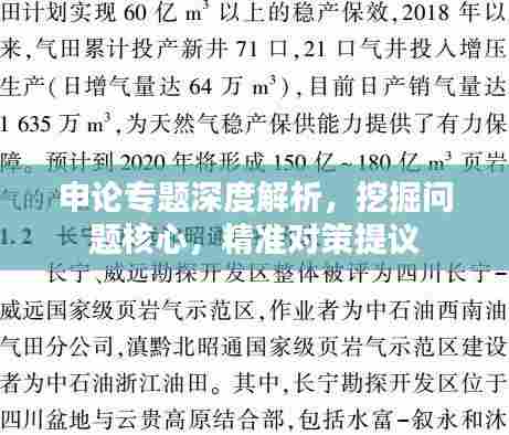申论专题深度解析，挖掘问题核心，精准对策提议
