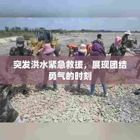 突发洪水紧急救援，展现团结勇气的时刻