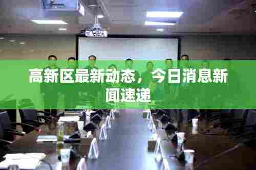 高新区最新动态，今日消息新闻速递