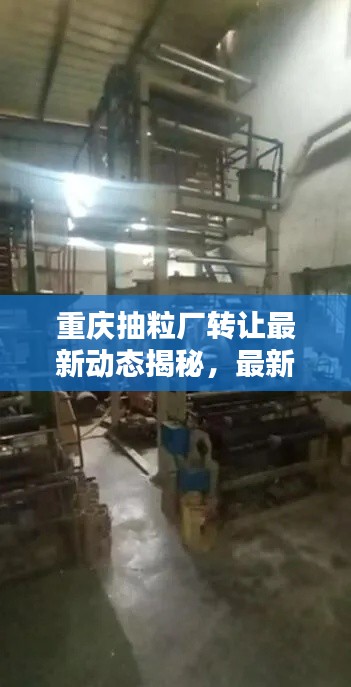 重庆抽粒厂转让最新动态揭秘，最新消息、全面更新！