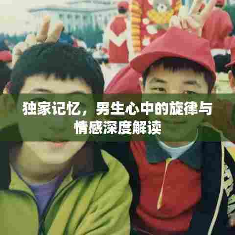 独家记忆，男生心中的旋律与情感深度解读