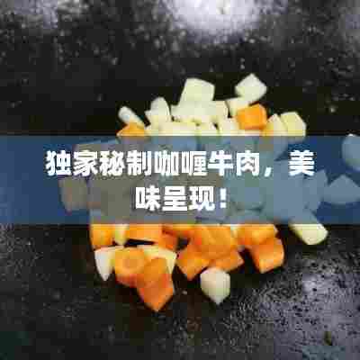 独家秘制咖喱牛肉，美味呈现！