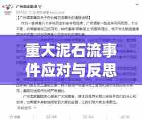 重大泥石流事件应对与反思，危机中的挑战与启示