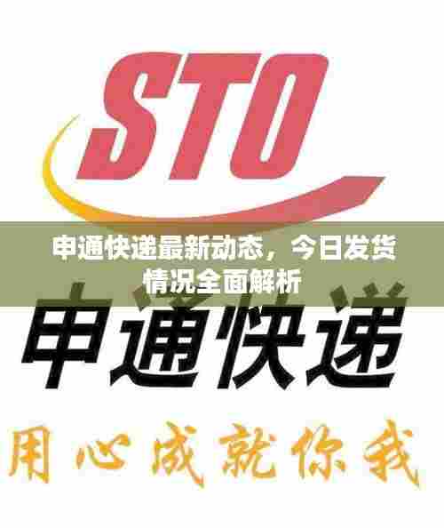 申通快递最新动态，今日发货情况全面解析