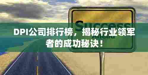 DPI公司排行榜，揭秘行业领军者的成功秘诀！