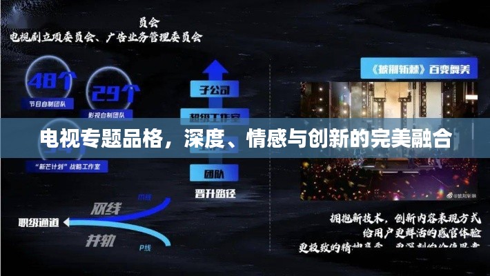 电视专题品格，深度、情感与创新的完美融合