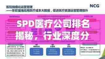 SPD医疗公司排名揭秘，行业深度分析与前景展望