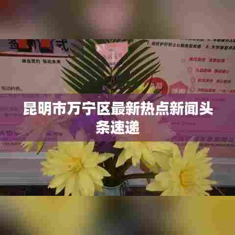 昆明市万宁区最新热点新闻头条速递